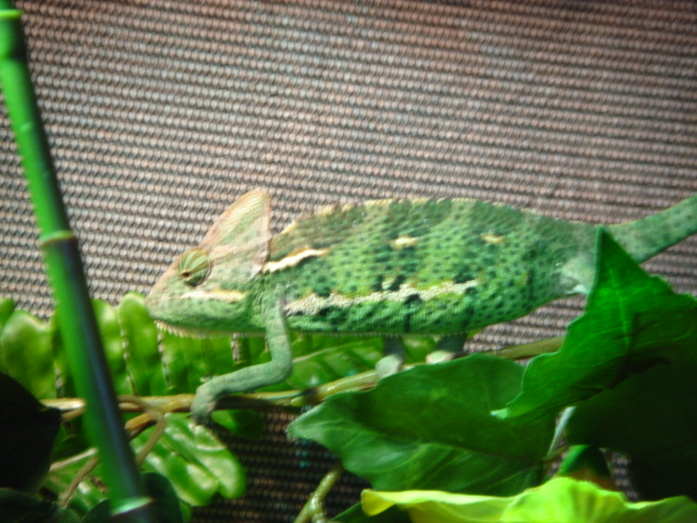 DSC00380.JPG